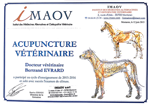 ostheopathe-veterinaire